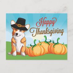 a happy thanksgiving card with a corgi dog wearing a pilgrim hat and pumpkins