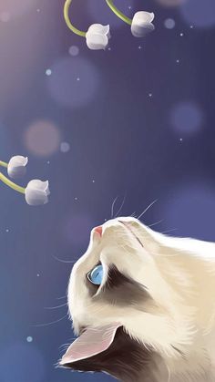 a white cat with blue eyes looking up at something in the sky and flying around