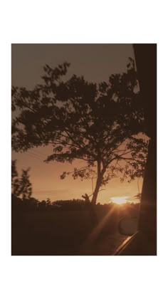 the sun is setting behind a tree and some cars are parked on the side of the road