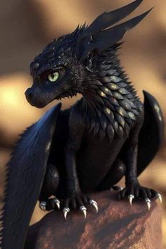 a small black dragon sitting on top of a rock with its wings spread out and eyes wide open