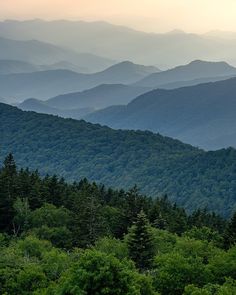 the mountains are covered in green trees and foggy skies as the sun is setting