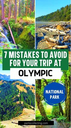 the olympic national park with trees and mountains in the background text reads, 7 things to avoid