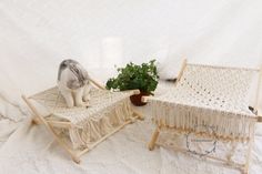 a cat sitting on top of a bed next to a potted plant and chair