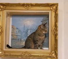 a cat sitting in front of a painting on the wall next to a framed object