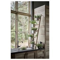 a kitchen sink sitting under a window next to a ladder filled with potted plants