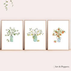 three watercolor paintings of vases with flowers in them on a wall above a shelf