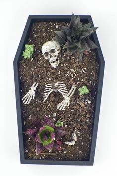 there is a fake skeleton in the dirt with flowers and plants on it's side