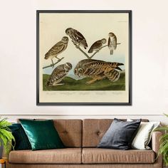 a group of birds sitting on top of a couch