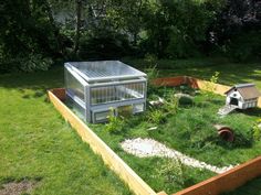 an elevated garden bed with a chicken coop and dog house in the middle, surrounded by lush green grass