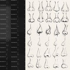 an image of various stages of the nose and mouth with different angles to each other