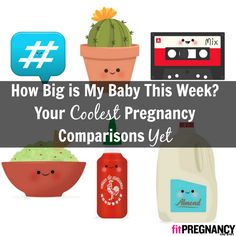 the words how big is my baby this week? your coolest pregnancy comparison yet