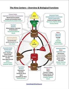 Human Design Generator, Spirit Science, Become Wealthy, Design Basics, Divine Design