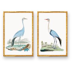 two framed paintings of birds in bamboo frames