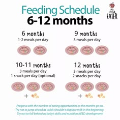 the feeding schedule is shown with instructions for how to feed your baby in 6 months