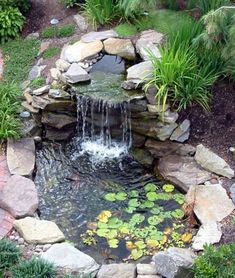 a small pond surrounded by rocks and water lilies