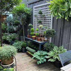 an outdoor garden area with potted plants and wooden flooring, along with a bench in the foreground