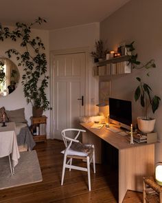 a living room filled with furniture and plants