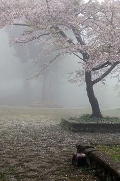 a park bench sitting under a tree in the middle of a foggy field with flowers on it