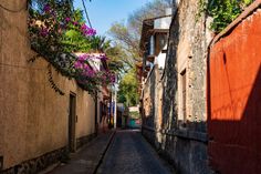 an alley way with flowers growing on the buildings and trees in the backround