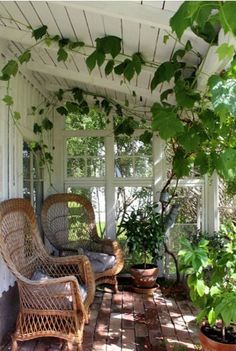 a porch with wicker chairs and potted plants