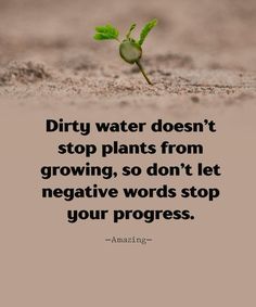 a plant sprouting from the ground with a quote about dirty water doesn't stop plants from growing, so don't let negative words stop your progress