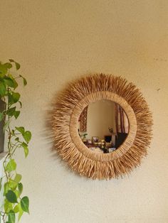 a mirror hanging on the wall next to a potted plant