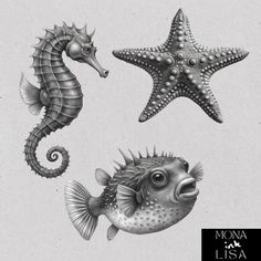 three sea animals are depicted in this drawing