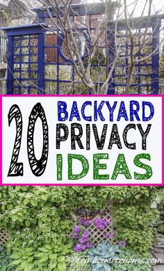 a sign that says backyard privacy ideas in front of some bushes and trees with the words, 20 backyard privacy ideas