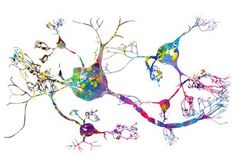 an image of a tree with many branches painted in different colors and shapes on it