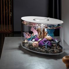 an aquarium with rocks and starfish in it