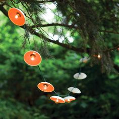 some lights are hanging from a tree branch