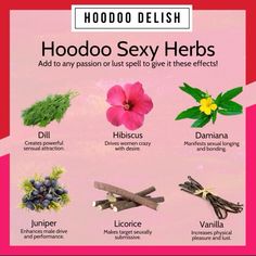 Hoodoo Herbs, Spiritual Herbs, Glamour Magick, Magick Oil, Magic Secrets, Voodoo Hoodoo