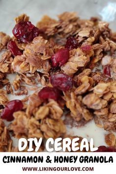 granola with cranberries and milk on top