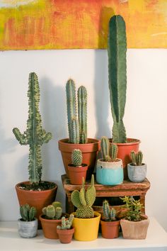 many different kinds of cacti in pots on a shelf next to a painting