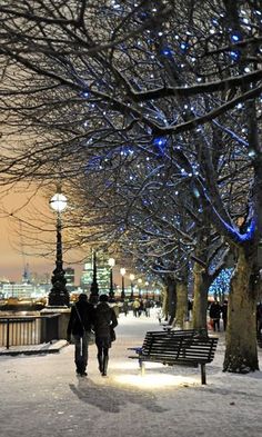 people walking in the snow near benches and trees with lights on them at night time