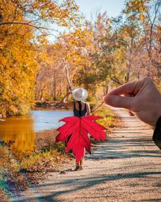 a person holding a red leaf in front of a lake with trees and leaves around it