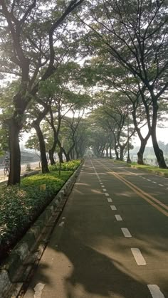 an empty street lined with trees and bushes