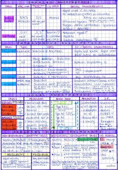 a purple and blue timetable with numbers, times and other things to do on it