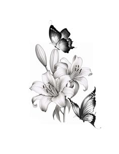 three butterflies flying over some white lilies in black and white ink art print on paper