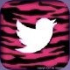 a white bird is flying over a red and black zebra print square button with the word twitter on it