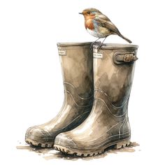 a bird sitting on top of a pair of rain boots