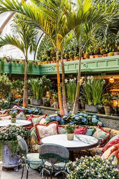 an outdoor seating area with potted plants and flowers on the tables, surrounded by palm trees