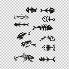 fish skeleton silhouettes on transparent background