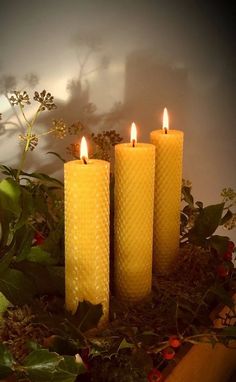 three yellow candles sitting on top of a wooden table next to flowers and greenery