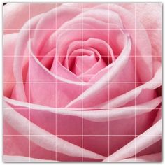 a close up view of a pink rose with white squares on the bottom and sides