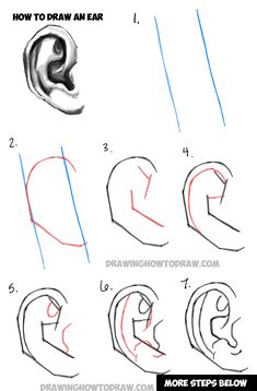 how to draw an ear step by step drawing instructions for kids and beginners in this video, you can learn how to draw