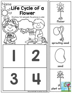 the life cycle of a flower worksheet with numbers and pictures to help students learn how