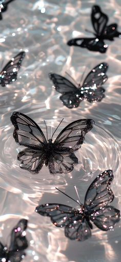 several butterflies are floating in the water