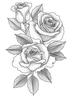 Flower Painting Rose, Koi Fish Drawing Tattoo, Bush Drawing, Rose Coloring, Free Adult Coloring Printables, Rose Drawing Tattoo, Rose Coloring Pages, Rose Sketch, Flower Art Drawing