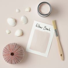 an empty card next to some seashells and a brush on a pink surface